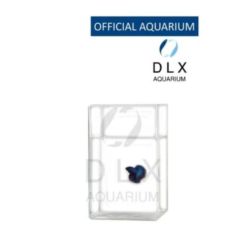 soliter cupang / toples ikan kaca DLX aquarium cupang kotak