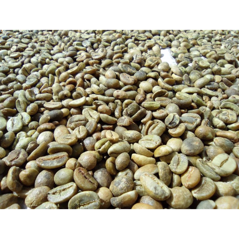 

Greenbean Arjuno Natural Commercial Grade