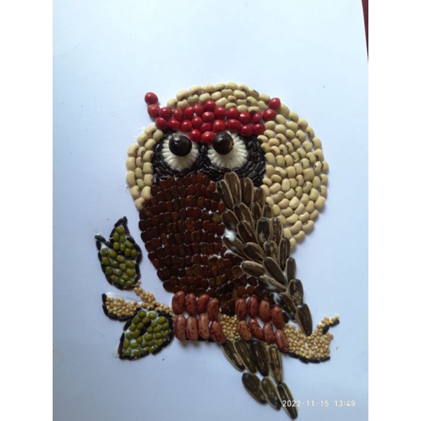 kolase burung hantu dari biji bijian aesthetic prakarya