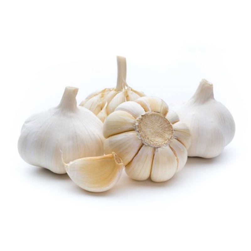 

bawang putih kating premium