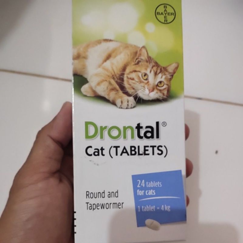 Drontal Cat obat cacing per 1 pcs/tablet