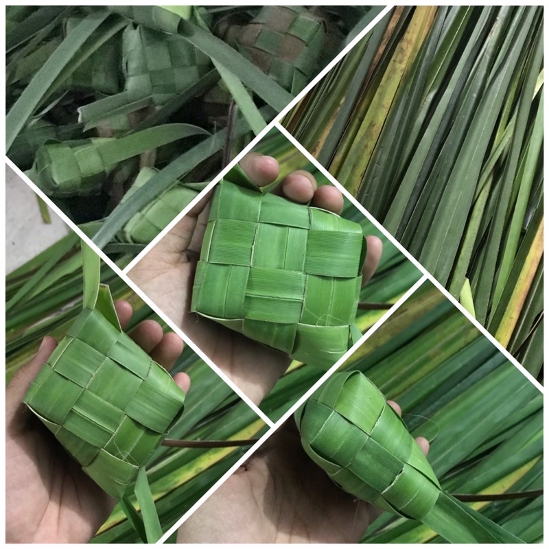 

Anyaman Ketupat Daun Pandan (Kosongan/Lonsongan) Harga Per Ketupat