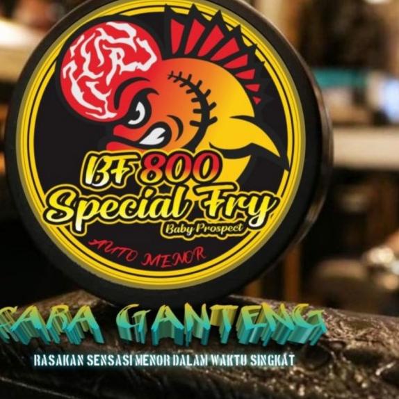 PELET BF1800 & BF800 STRONG COLOR BIG HEAD PAKAN LOHAN LOUHAN TERBAIK - BF800, Mini