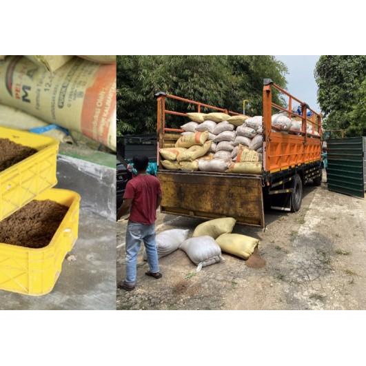 Maggot Nusantara Koi 500 Gr