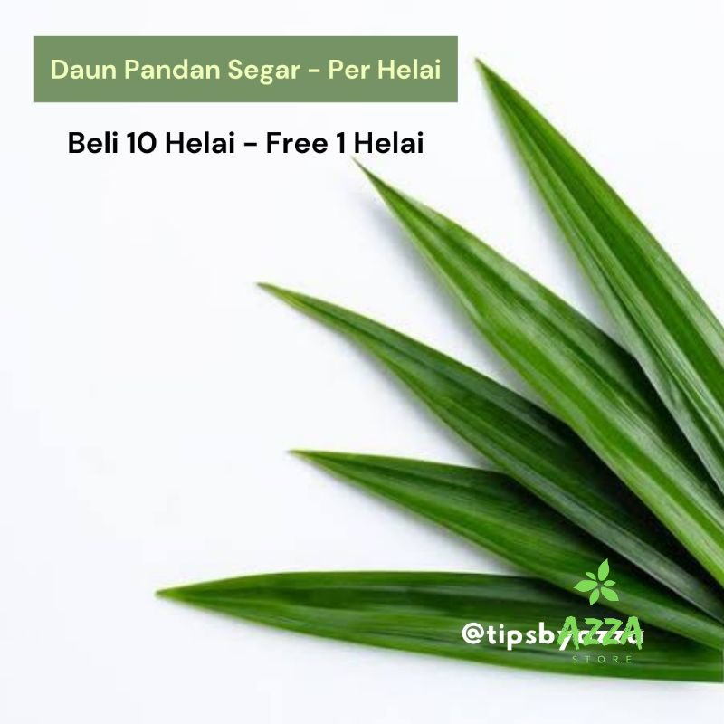 Daun Pandan Segar / Daun Suji Segar / Pewarna Hijau Alami