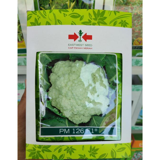 Benih Kembang Kol PM 126 F1 (10 Gram) - Bibit Bunga Cap Panah Merah