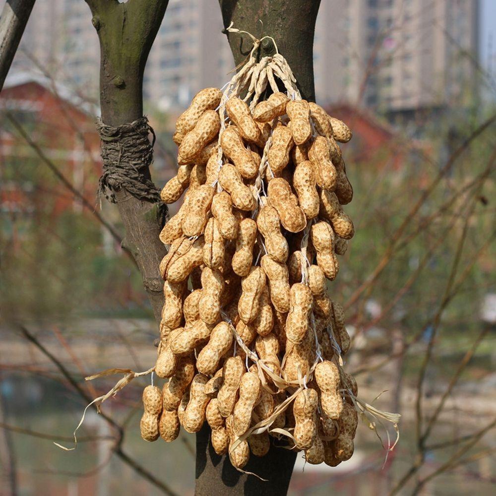Chookyy Sayuran Artificial Jagung Bawang Putih Gaya China Restoran Cabai Palsu Lada Wall Decor String Pendant Dekorasi Dapur Sayuran Palsu
