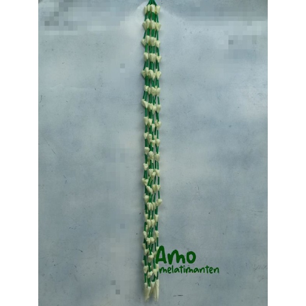 Jurai biasa / jurai melati / melati imitasi / melati palsu 60 cm
