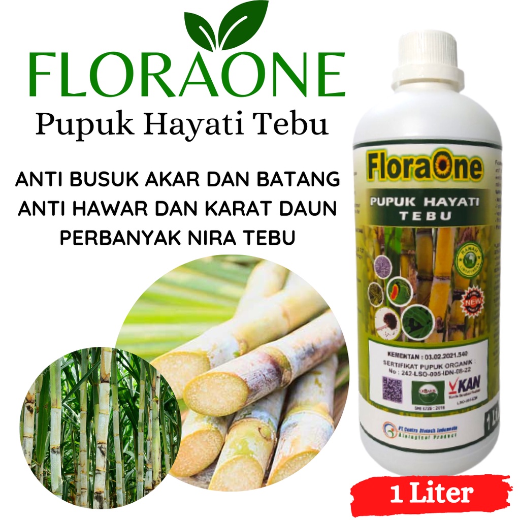 Jual Pupuk Hayati Cair Tanaman Tebu, Pupuk Pelebat Tunas Padi Anti
