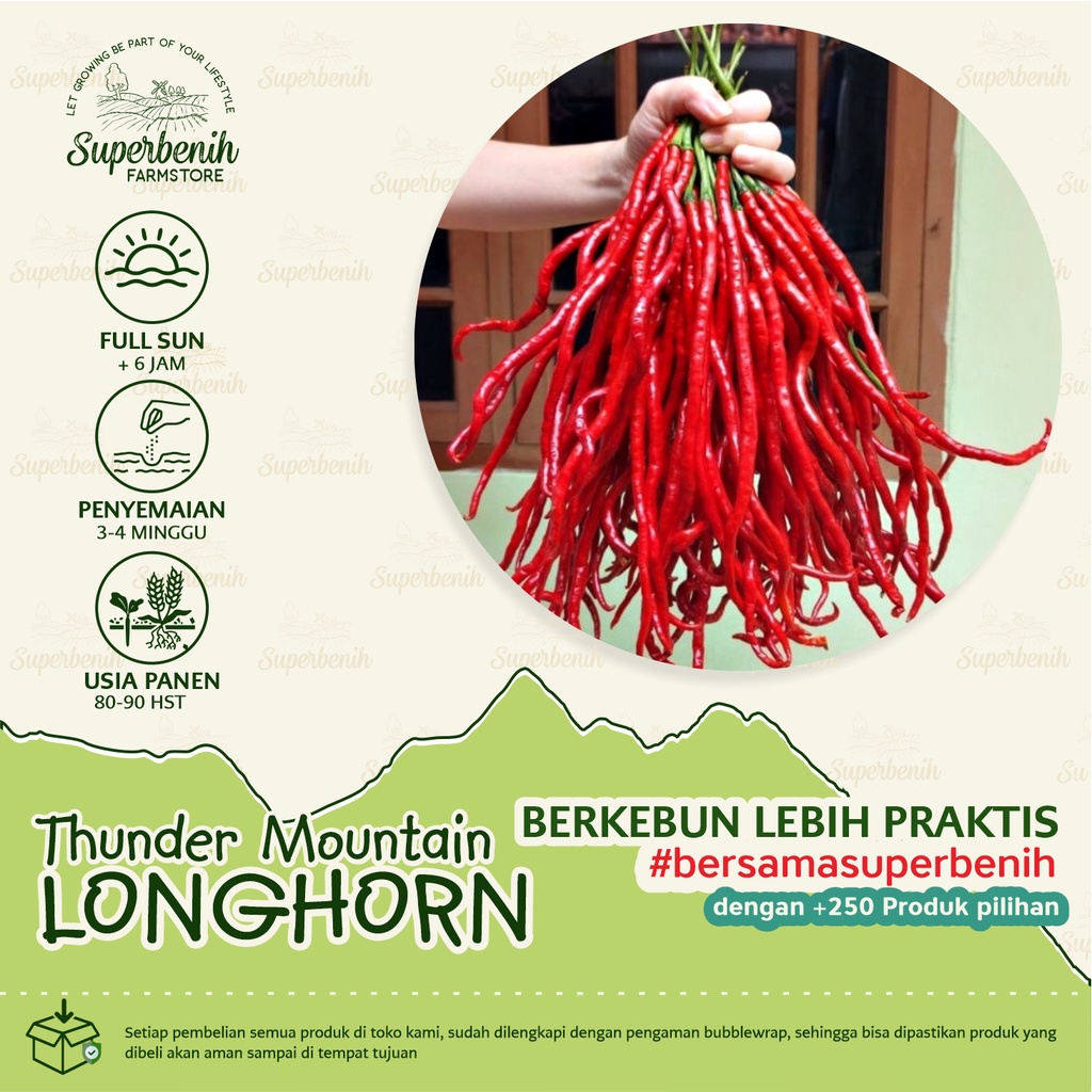 3 Biji - Benih Cabe THUNDER MOUNTAIN LONGHORN, jenis cabe terpanjang