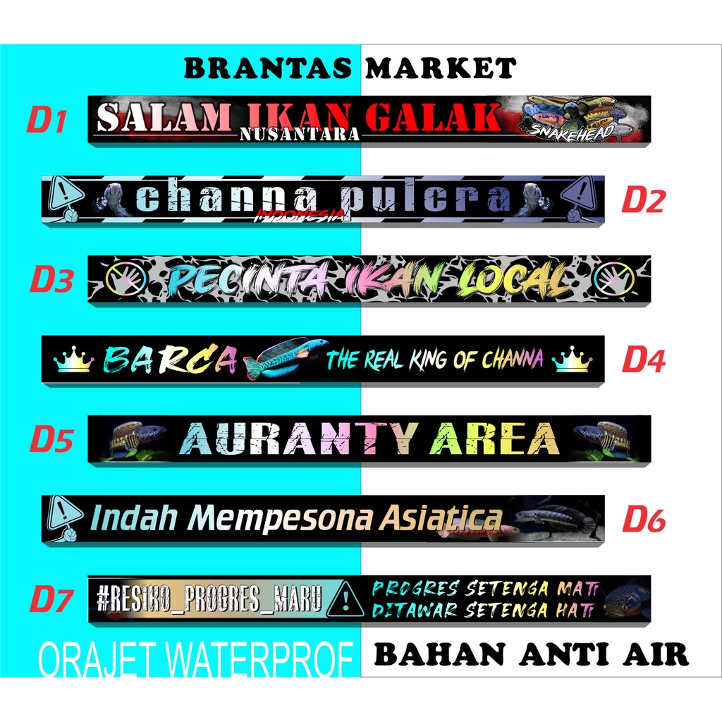 STIKER IKAN GALAK /CHANNA SERIES