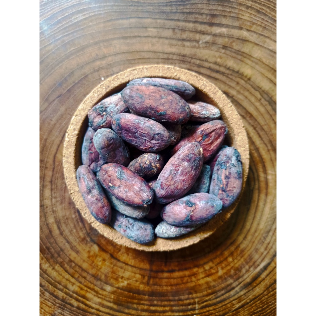 Fermented Cacao Beans / Biji Coklat Fermentasi