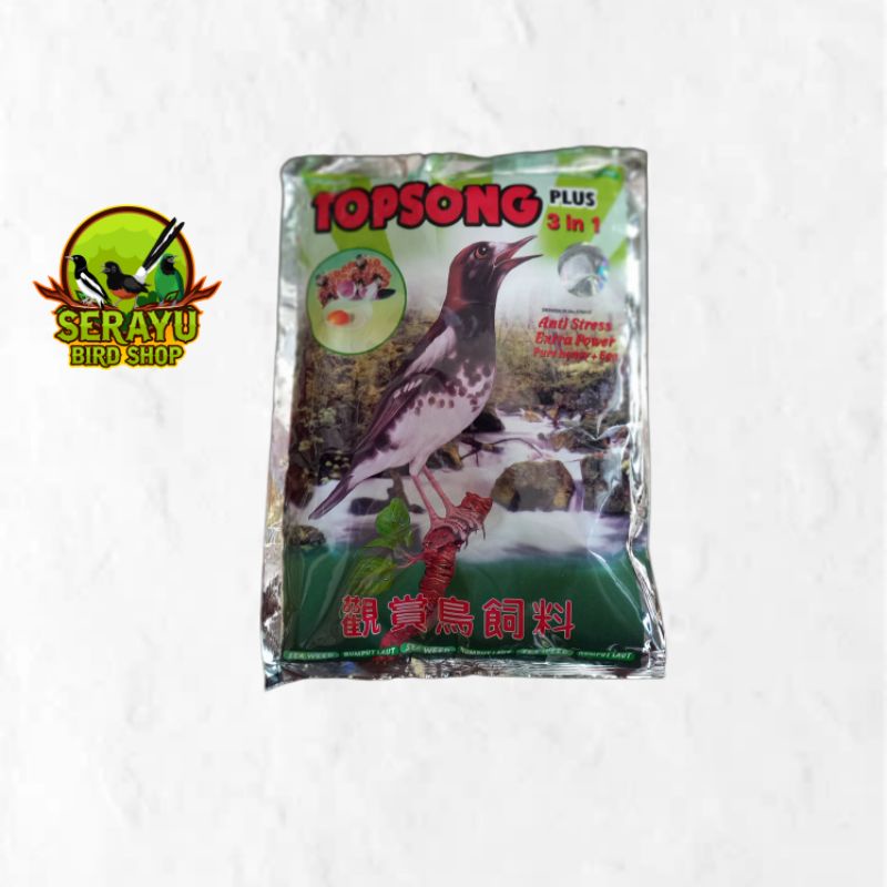 TOP SONG HIJAU RUMPUT LAUT