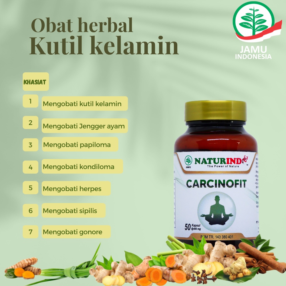 obat kutil kelamin jengger ayam papiloma kondiloma Pria Wanita herbal BPOM naturindo