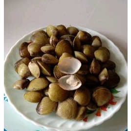 

kerang