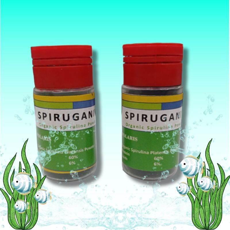 Spirulina Powder  Pencerah Warna Ikan SPIRUGANIK BOTOL 10gr