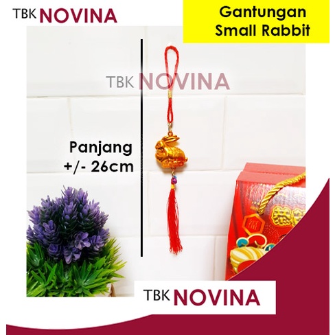 [1 PCS] GANTUNGAN IMLEK /  DEKORASI CHINESE NEW YEAR / TASEL IMLEK