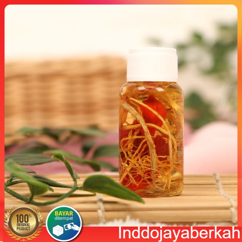 MINYAK BULUS GINSENG MERAH // ORIGINAL