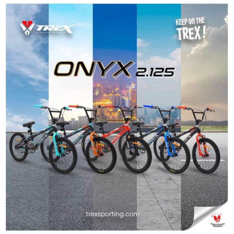 SEPEDA BMX 20 TREX ONYX 2.125