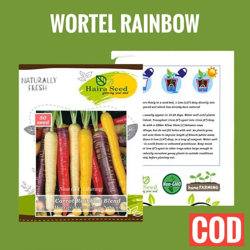 BENIH WORTEL RAINBOW BLEND HAIRA SEED