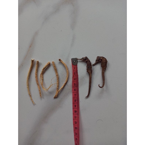 

Akar ginseñg 5pcs + kud4 kering 2pcs