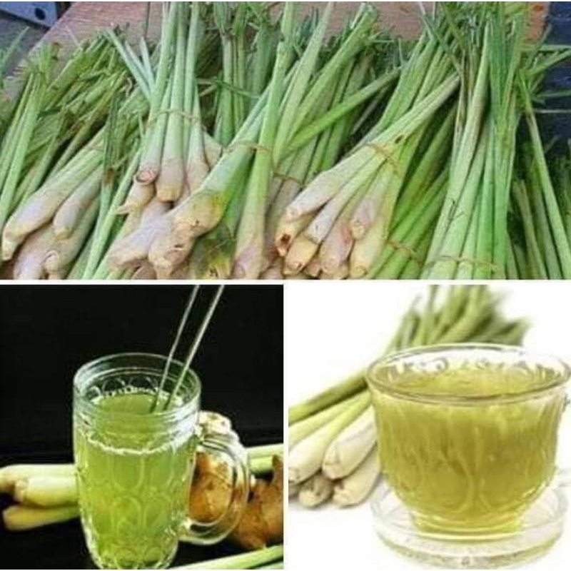 Batang serai 1 kg