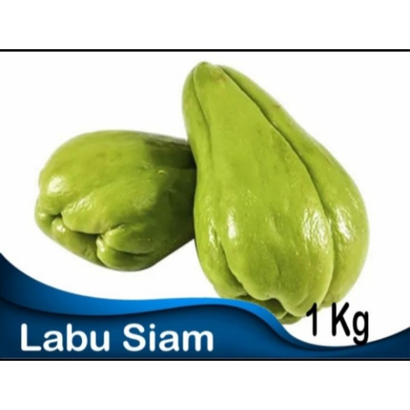

Labu siem muda 2 pcs