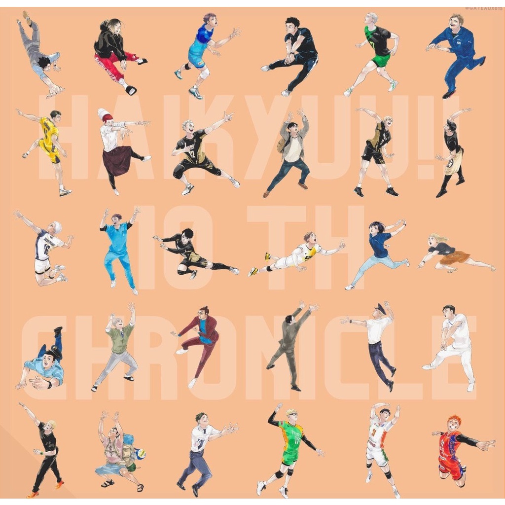 Haikyuu chronicle Acrylic standee + photocard SET