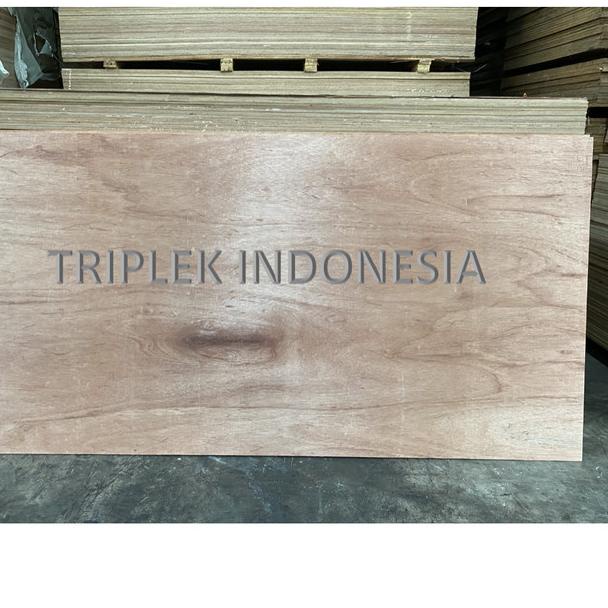Triplek MERANTI 9mm 122x244cm / Plywood MERANTI 9mm 4x8