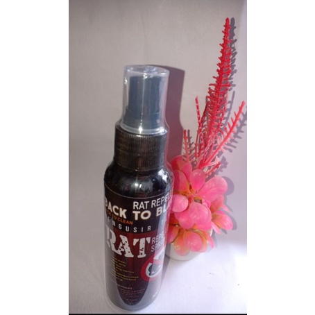 Pengusir Tikus paling Ampuh