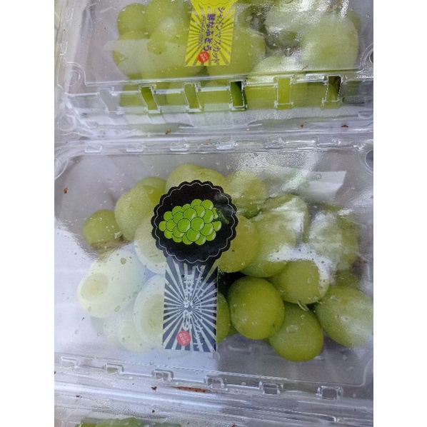 

Buah anggur hijau Muscat premium pack