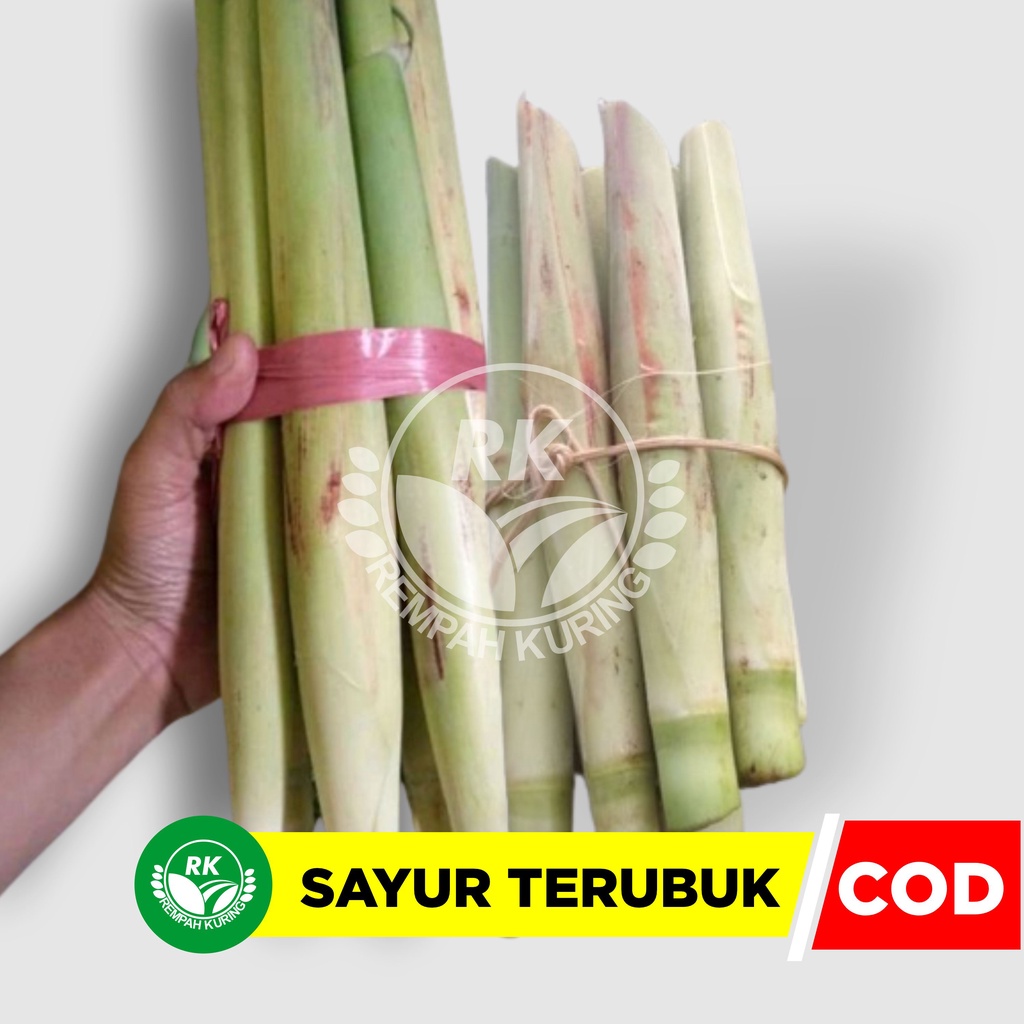 

Sayur Segar Terubuk Trubuk Turubuk Endog Tiwu Bunga Telur Telor Tebu Sayuran Segar, Terubuk Turubuk, Tebu telor Terubus per ikat isi 10