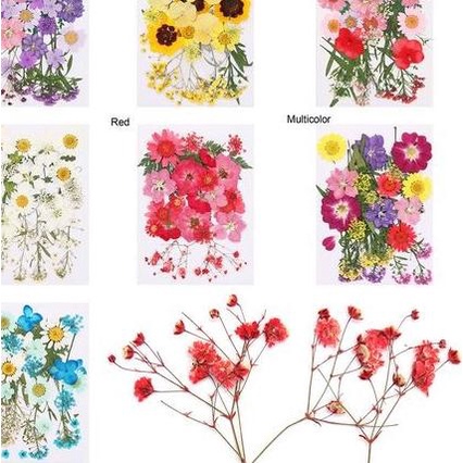 Pressed Dried Flower - Bunga Kering Press #02 - PURPLE