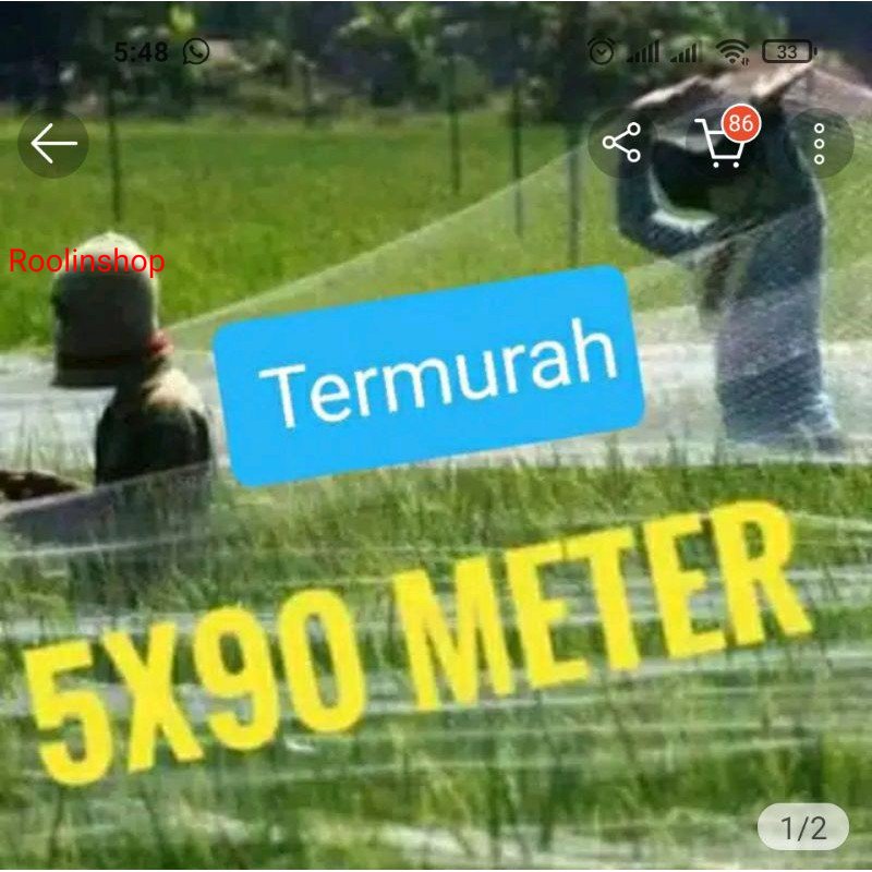 Promo JARING BURUNG JARING PADI JARING EMPRIT JARING SAWAH 6 x 90 METER JEBAKAN PERANGKAP BURUNG JAR