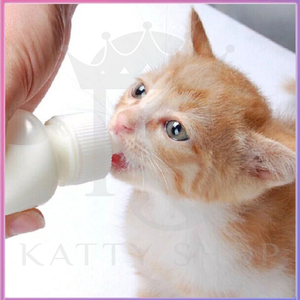 Cat and dog feeding bottle 60ML pet water and drink equipment