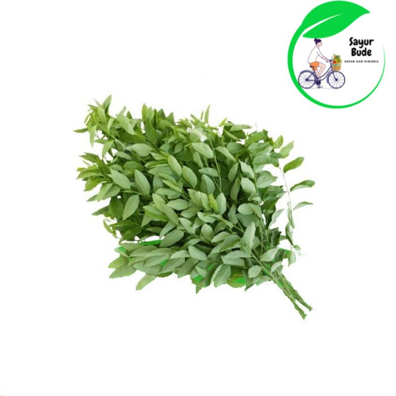 

Daun Katuk Segar -1ikat