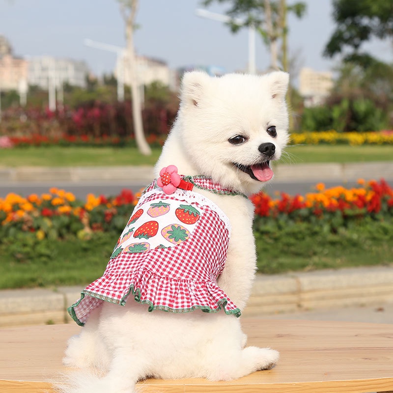 Dress Rok Suspender Musim Semi Panas Motif Kartun Untuk Anjing Kucing Peliharaan