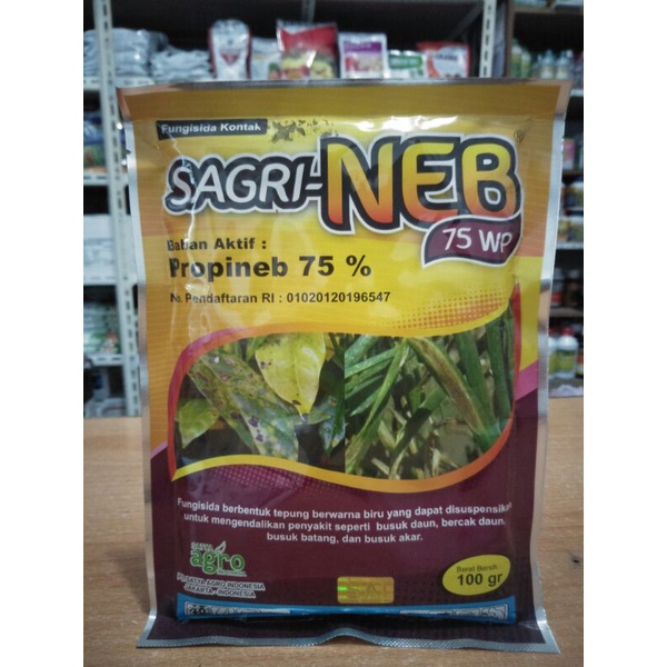 Sagri neb