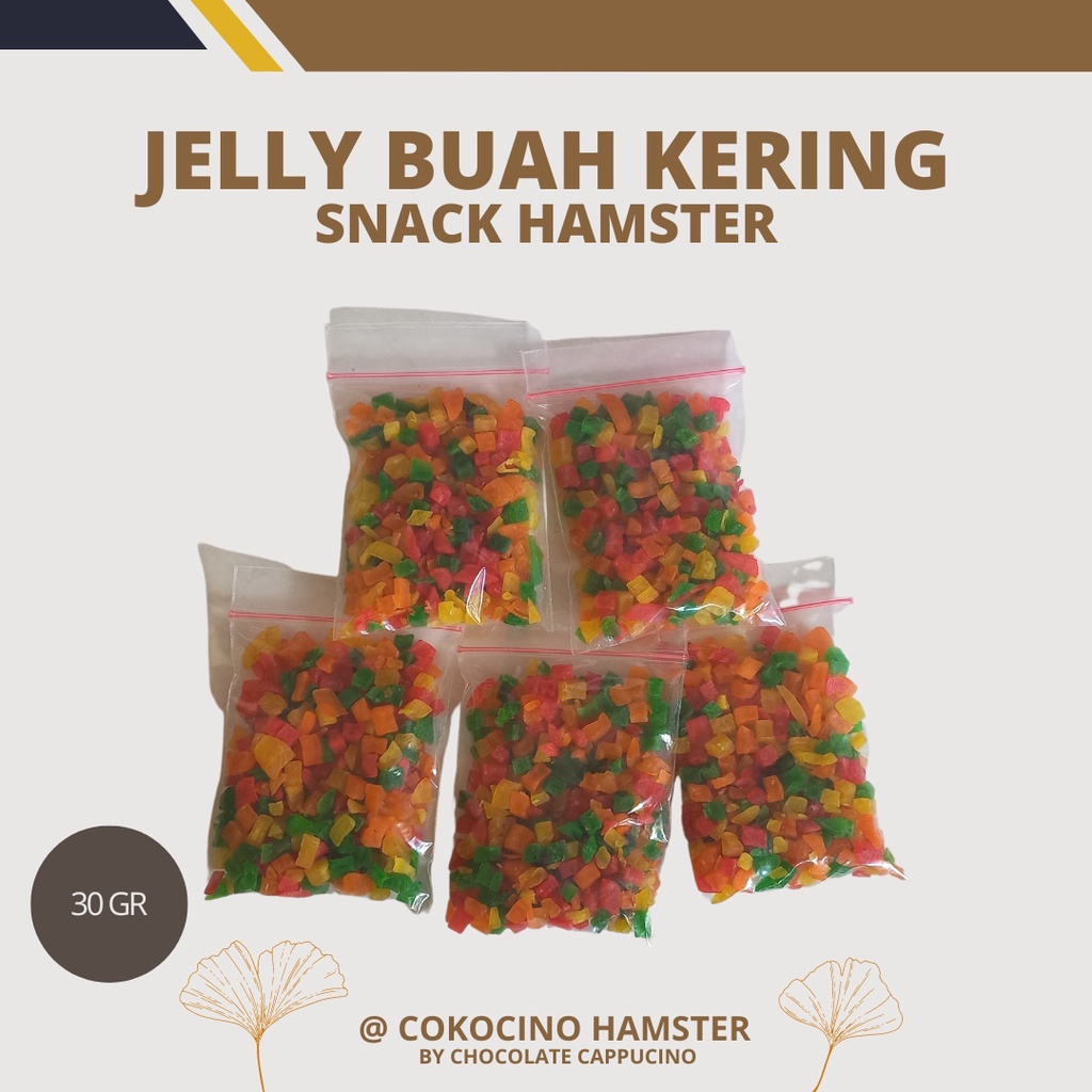 Snack Hamster Jelly Buah Kering Dried Fruit Cemilan Extra Makanan Jogja Yogyakarta Cokocino