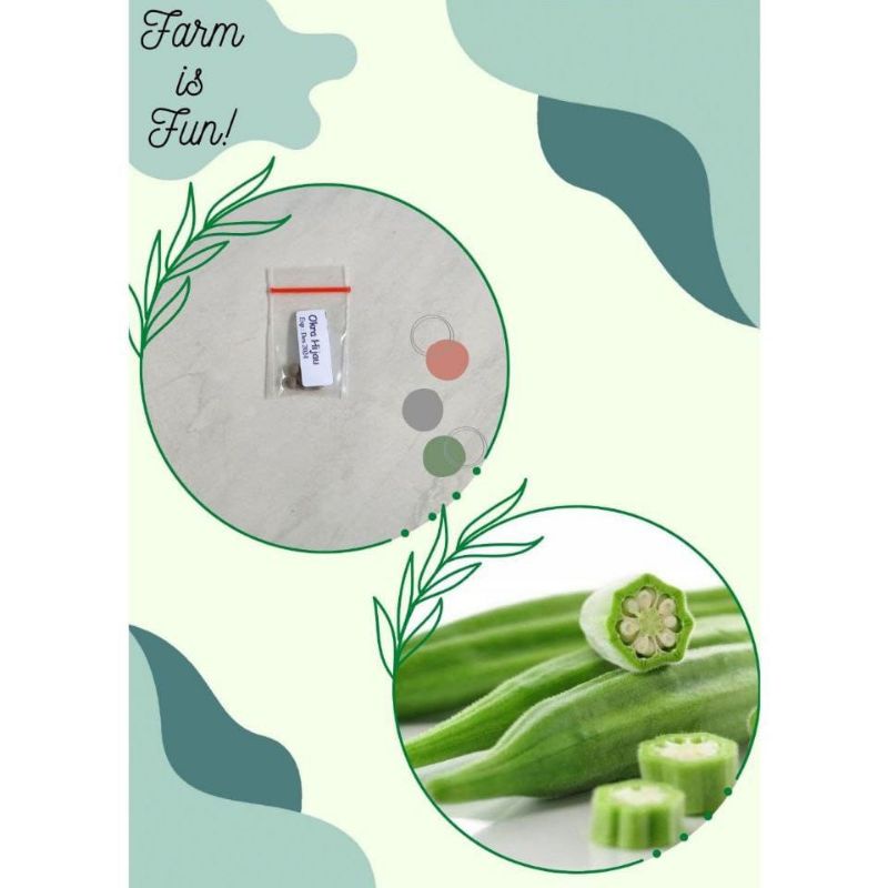 Benih "Okra Hijau"