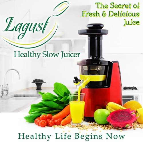 Lagust Slow Juicer-second