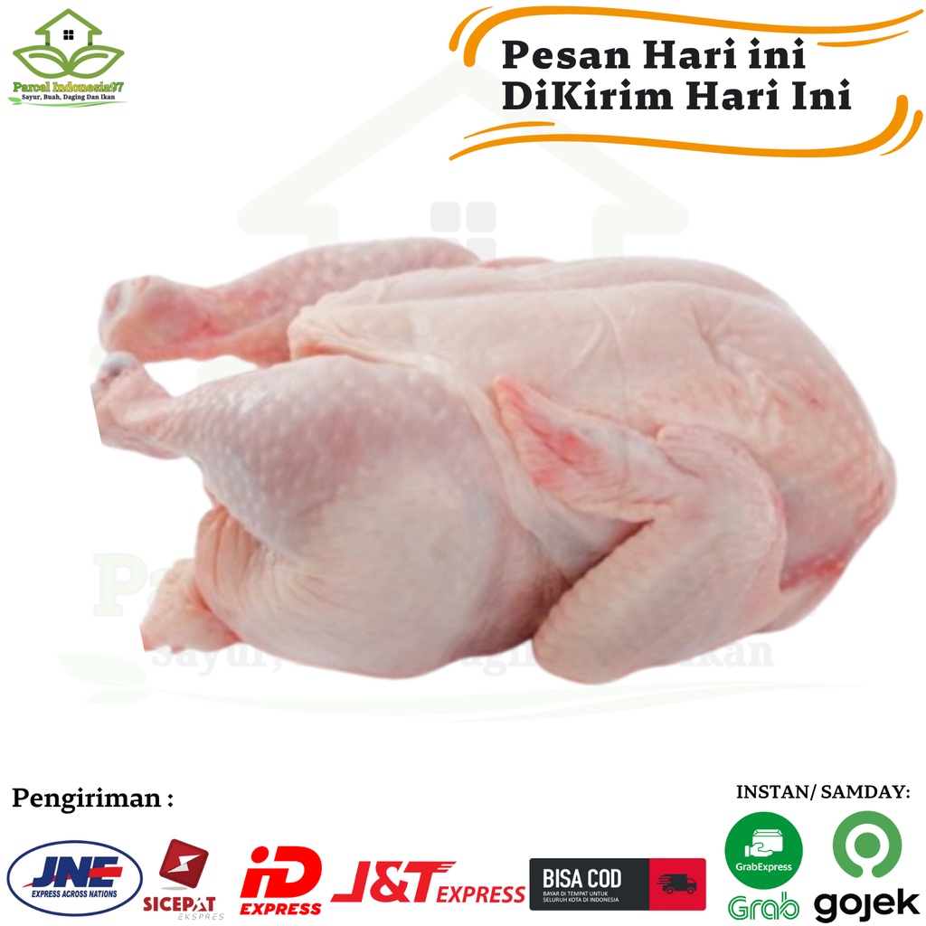 

ayam potong broiler murah 1kg kualitas super fresh