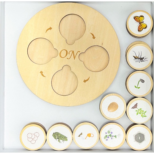 Mainan Edukasi LIFE CYCLE Board Set / Mainan Pengenalan Siklus Hidup Hewan Tanaman / Mainan Edukatif Mengenal Lingkaran Kehidupan / Wooden Toys Montessori Life Cycle