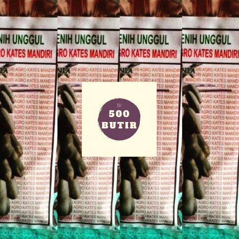 JUAL Bibit pepaya california ipb9