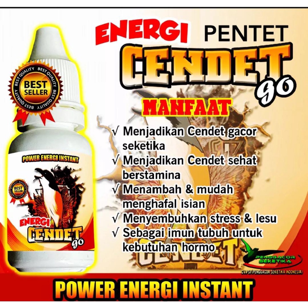 POWER ENERGI CENDET / PENGGACOR BURUNG CENDET / PENTET