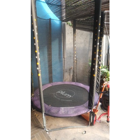 trampoline plum