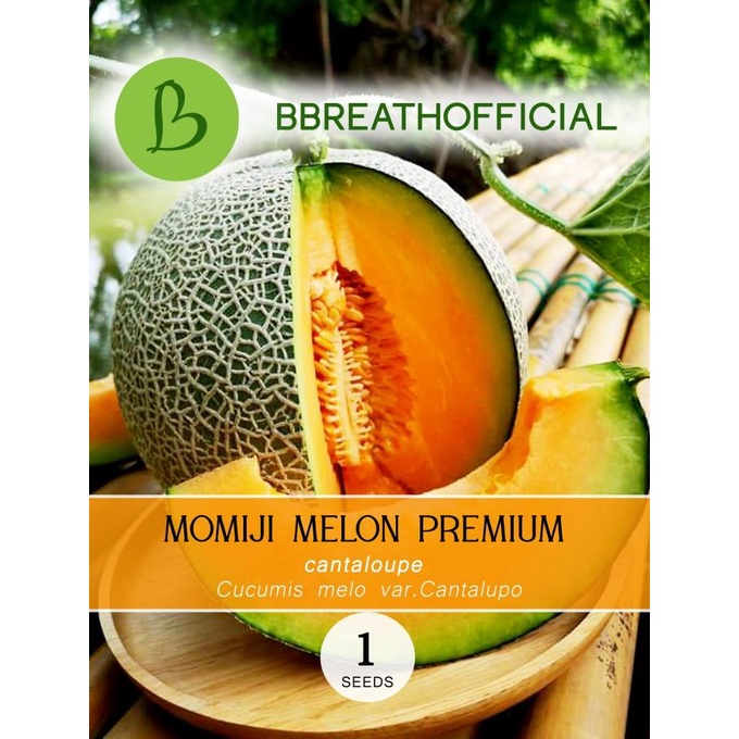 Seed momichi japan melon premium- isi 1 biji bibit muskmelon momiji