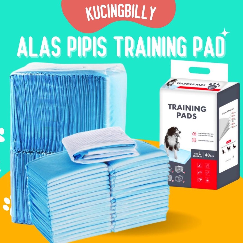 Alas pipis training pad perlak kucing anjing