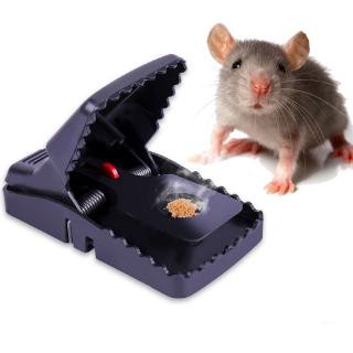 IKILOSHOP Perangkap Tikus Jebakan Mouse Trap bukan Joni Cat Premium Quality