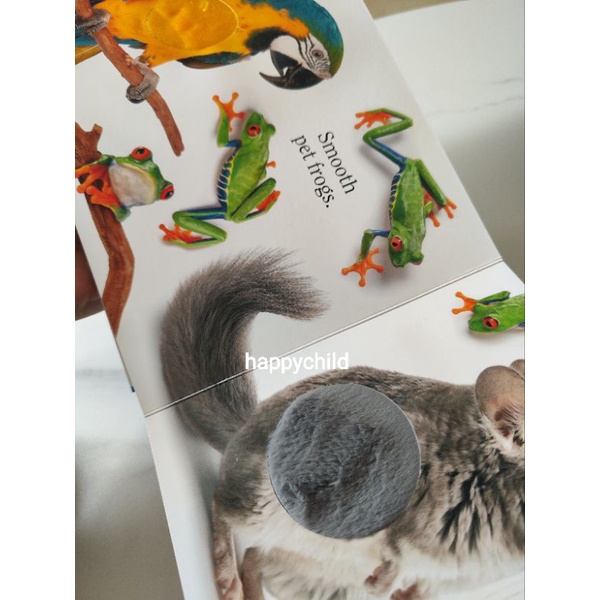 Original PET by Matthew Van Fleet touch feel push pull buku impor happychild